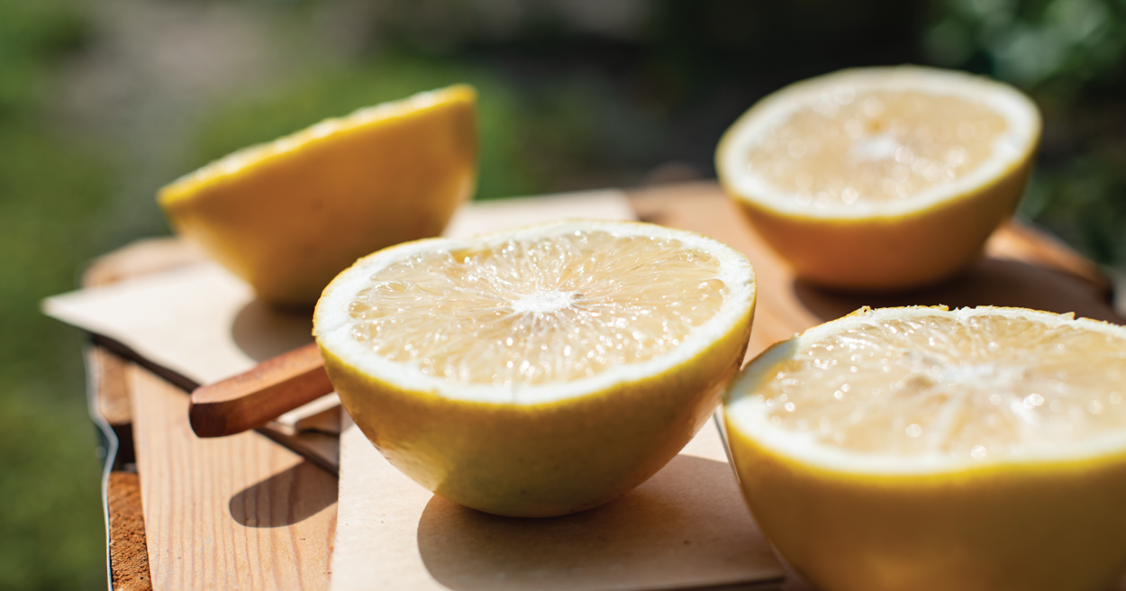 scott citrus hero images-07 copy